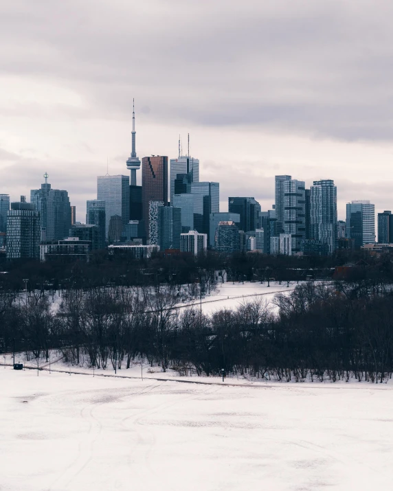 an image of city from across the lake