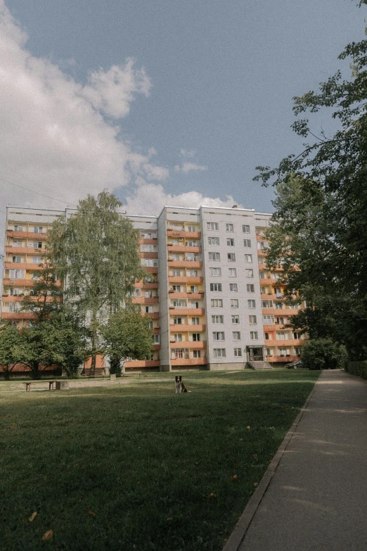 a dog sitting in the grass in front of a tall building