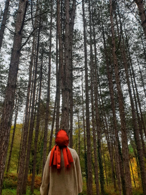 a man stands in front of the trees