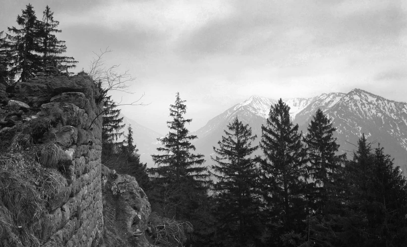 a view of a mountain range with evergreen trees in the foreground and cloudy sky above