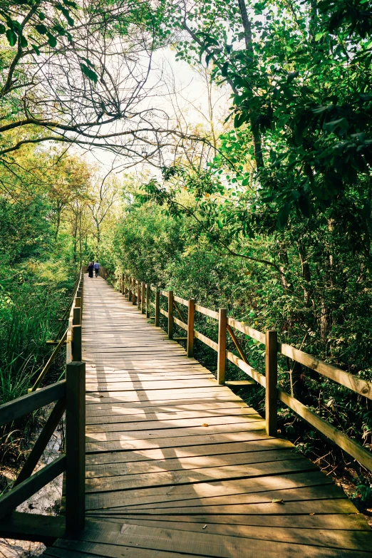 a wooden bridge over some water and trees