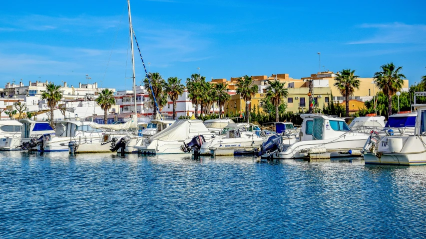 a bunch of boats are docked at a marina