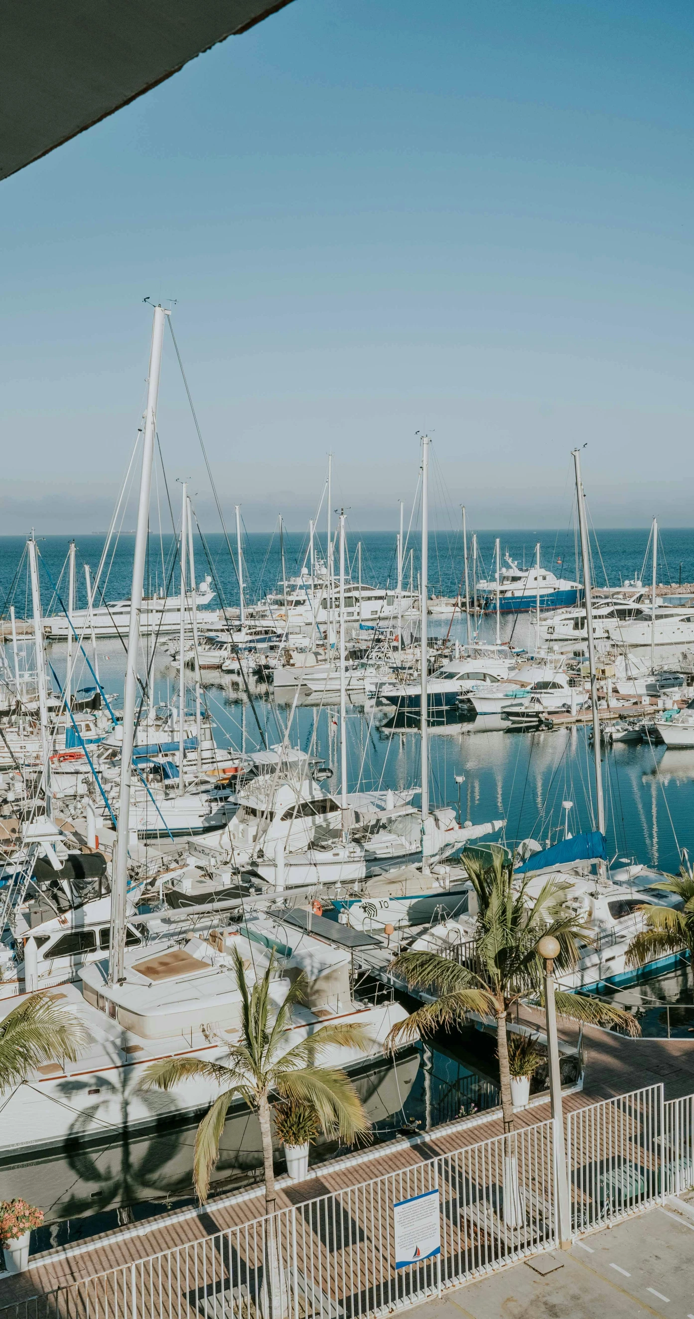 a marina filled with lots of white yachts