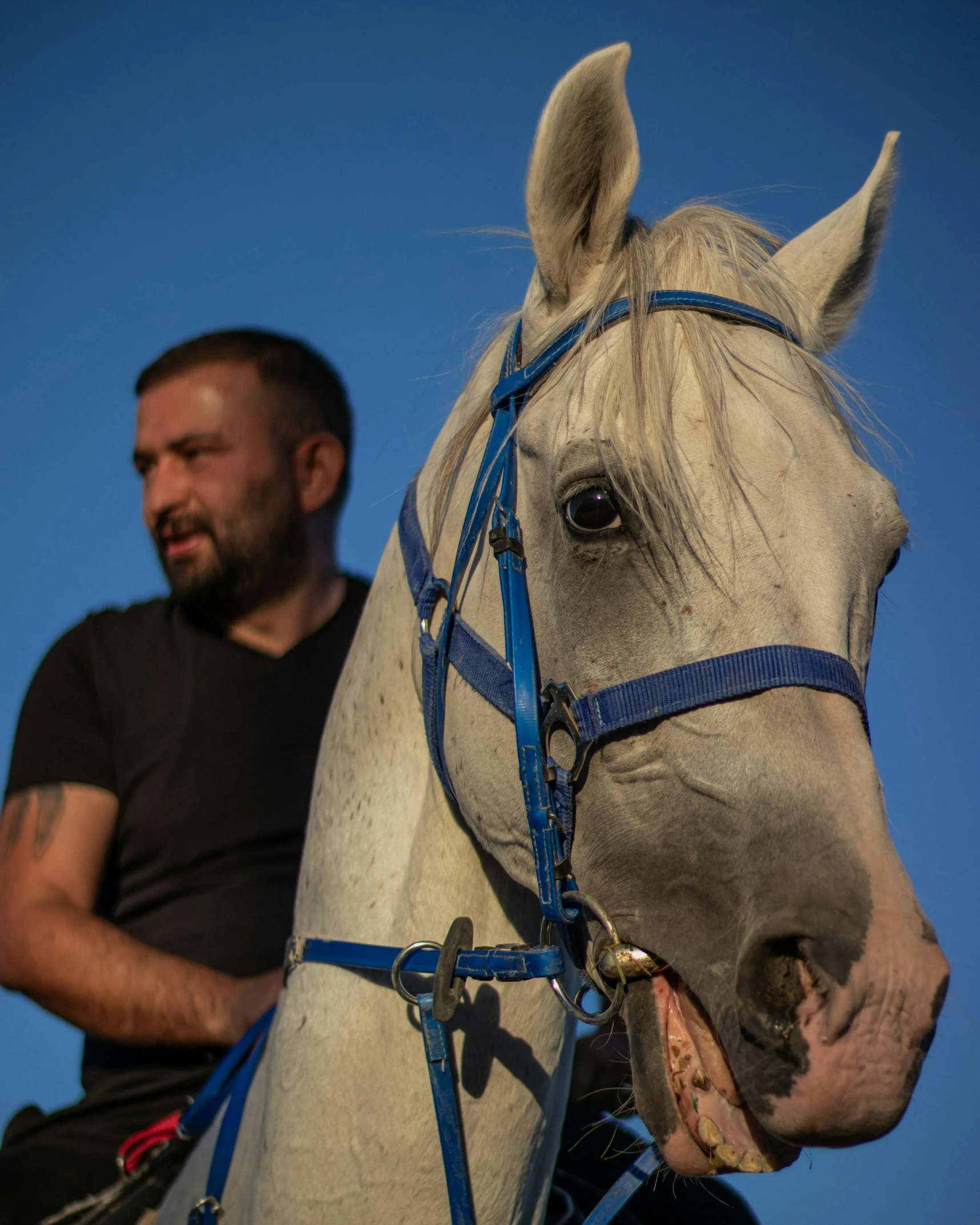 a man riding on the back of a horse