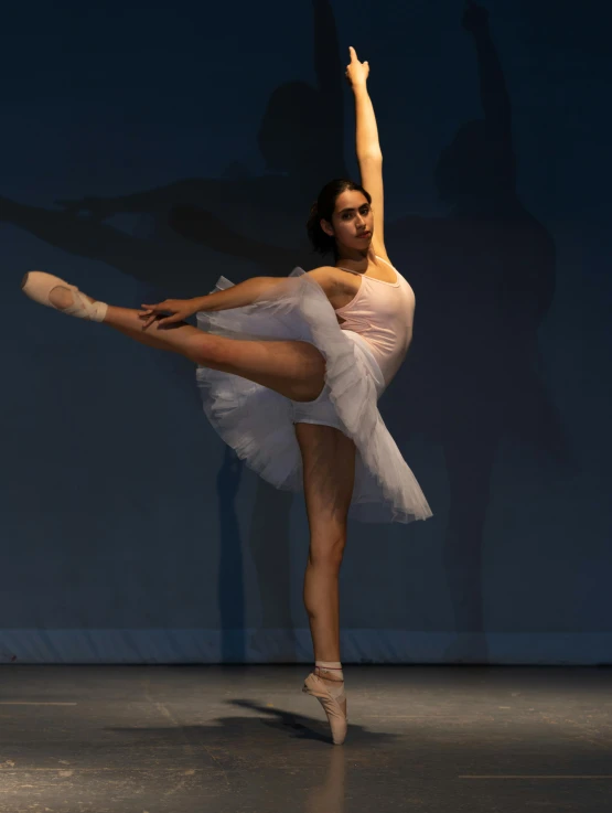 a female ballet dancer in white tutu dancing