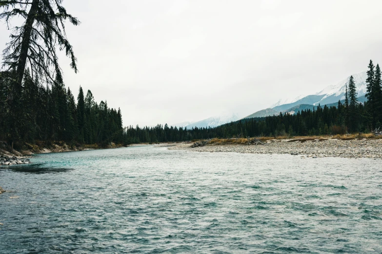 a river in a forest is shown with a mountain in the background