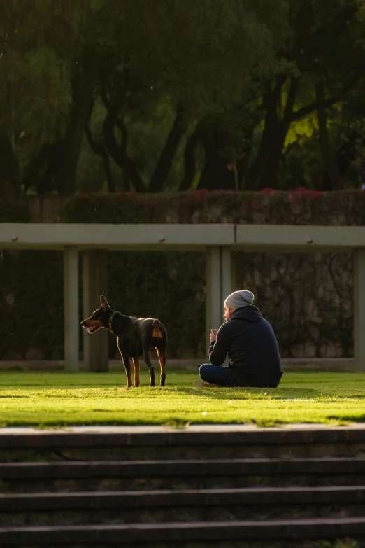 a man sitting on a bench with a dog in front of him