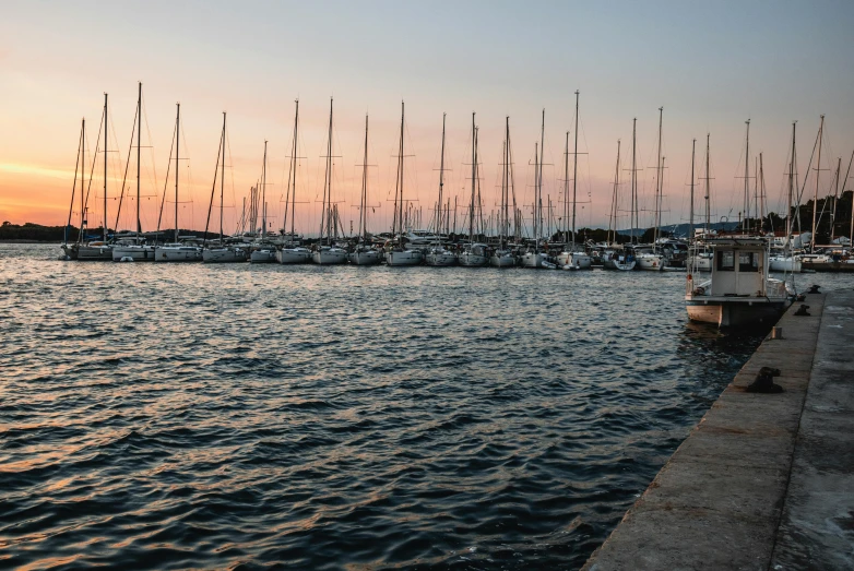 a body of water filled with lots of sailboats