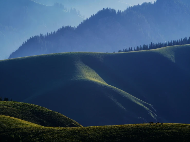 mountains and fir trees are silhouetted in the sunlight