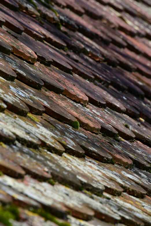 close up of colorful shingles of an old roof