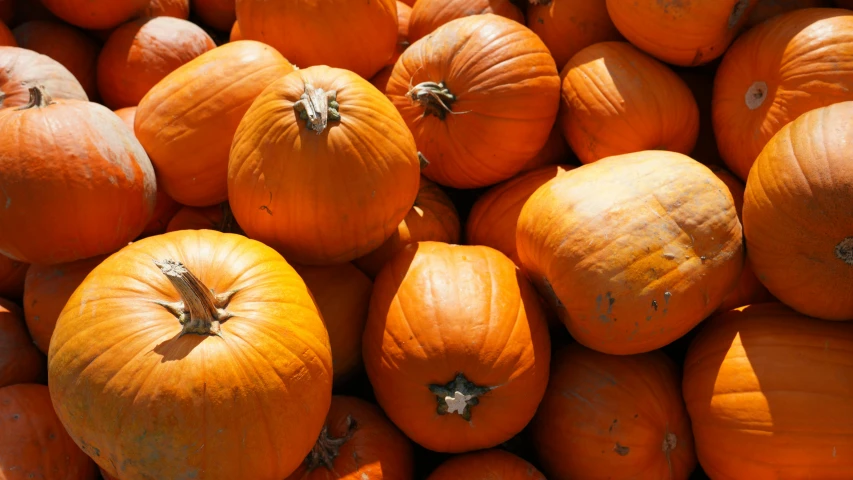 a pile of ripe pumpkins sitting on top of each other