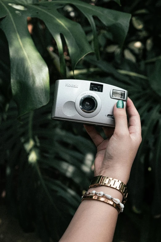 someone holding up their camera in the palm tree