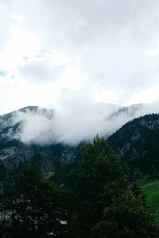 the mountains are covered with clouds and green trees