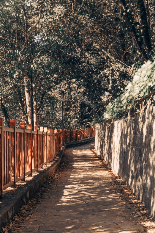 a wooden fence sitting next to a forest