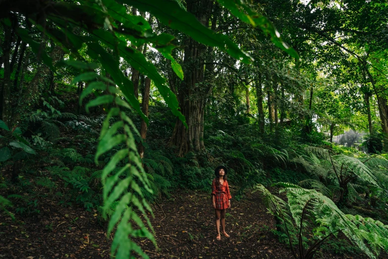 a person standing in a forest among some trees