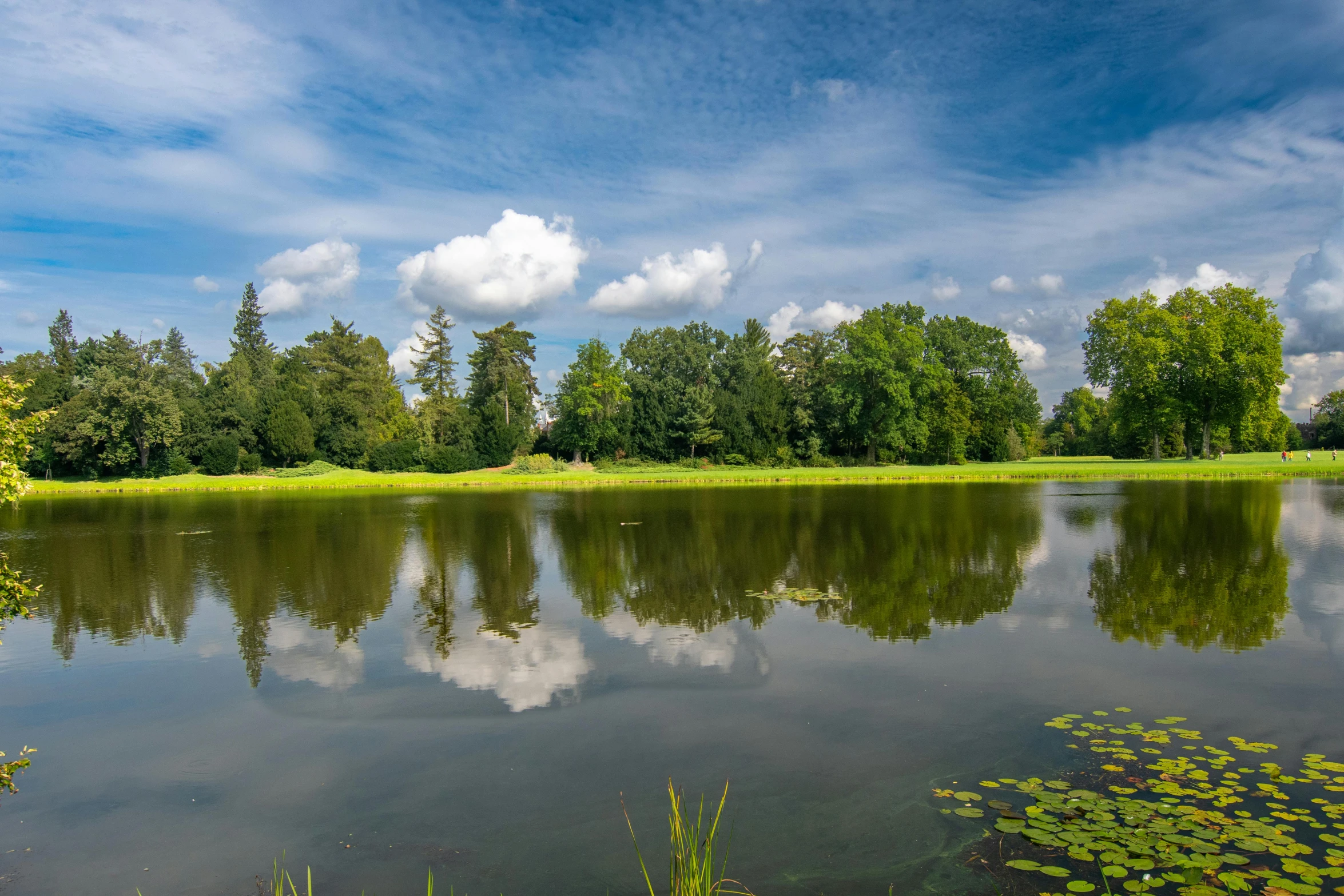 a body of water surrounded by trees with clouds in the sky