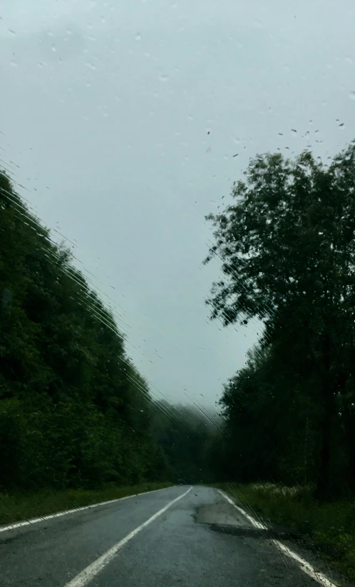 an empty road near several trees is seen from the front end