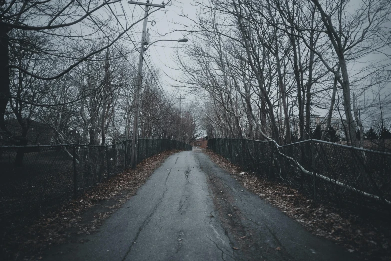 there is a view of a rain soaked street and tree line