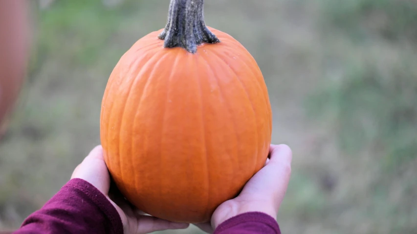 the hand is holding a pumpkin with a brown stem