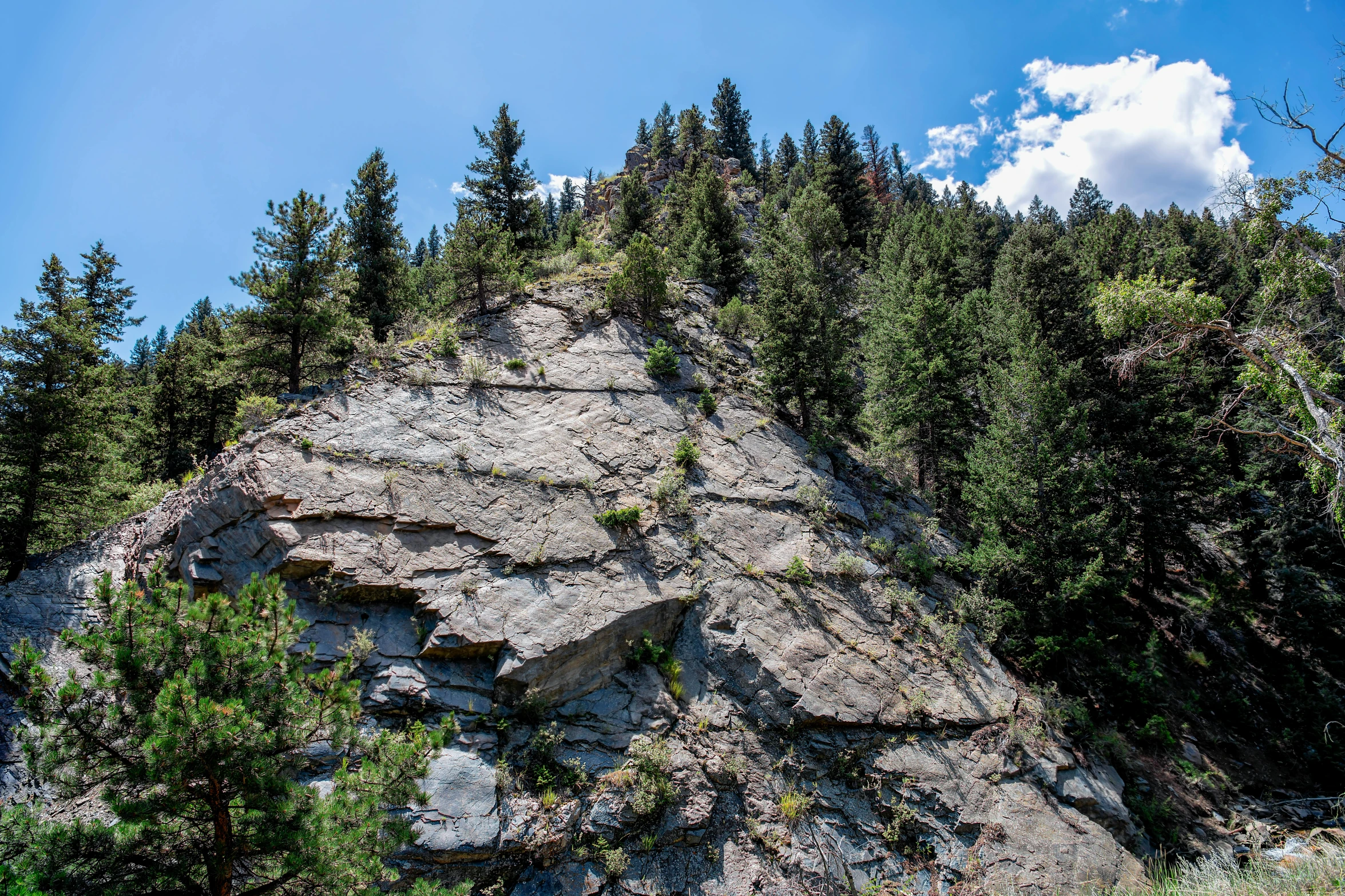 a very large rock with some little trees on the top