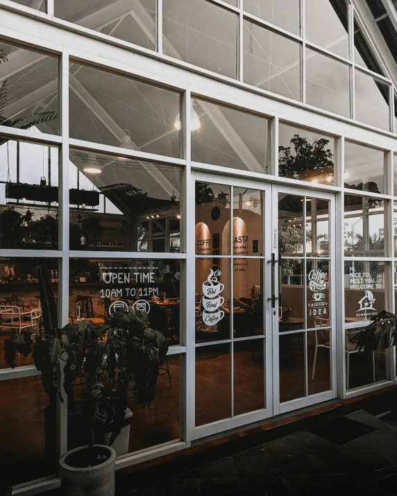 the window of a restaurant with potted plants and white walls