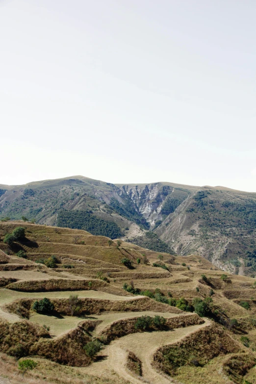 a long dirt road winding up a grassy hill