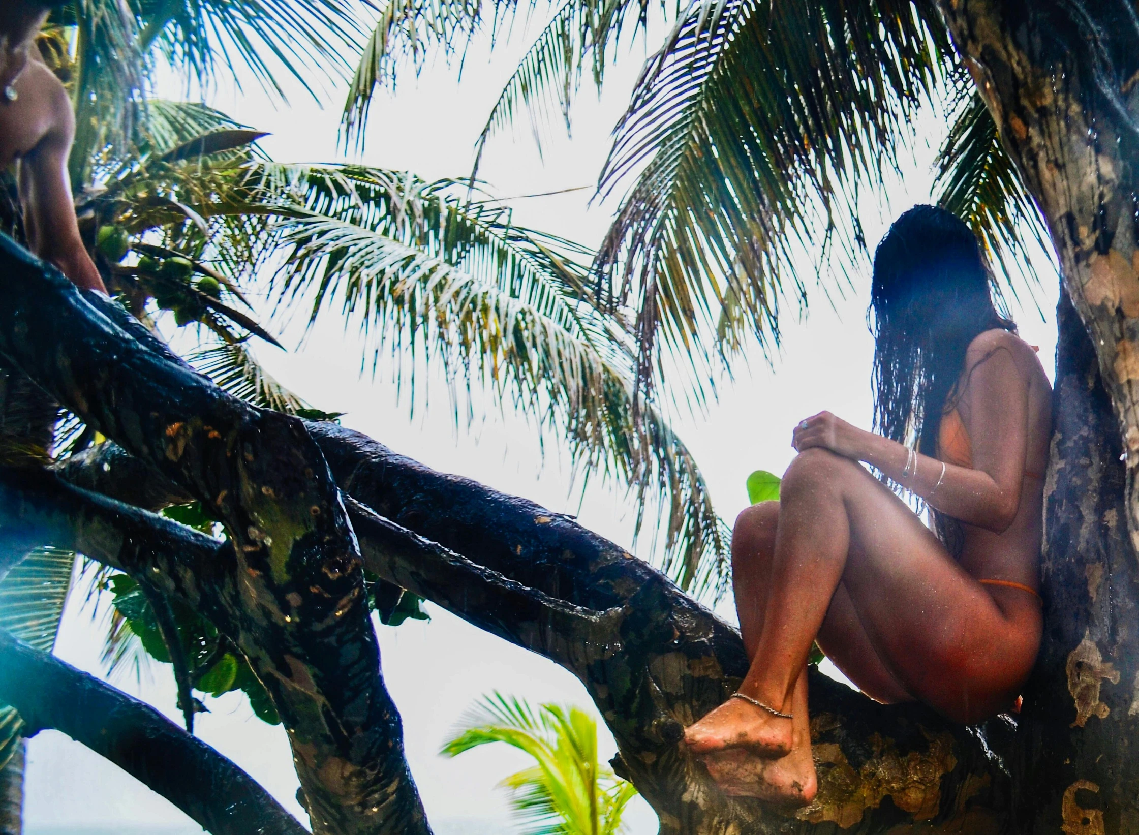 a woman in a bikini sitting in a tree on top of a nch