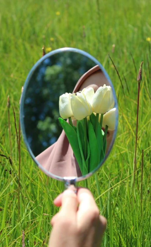 the person has holding up a flower in front of a mirror