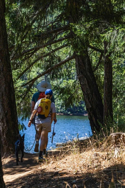 a person hiking with a dog on a path in the woods