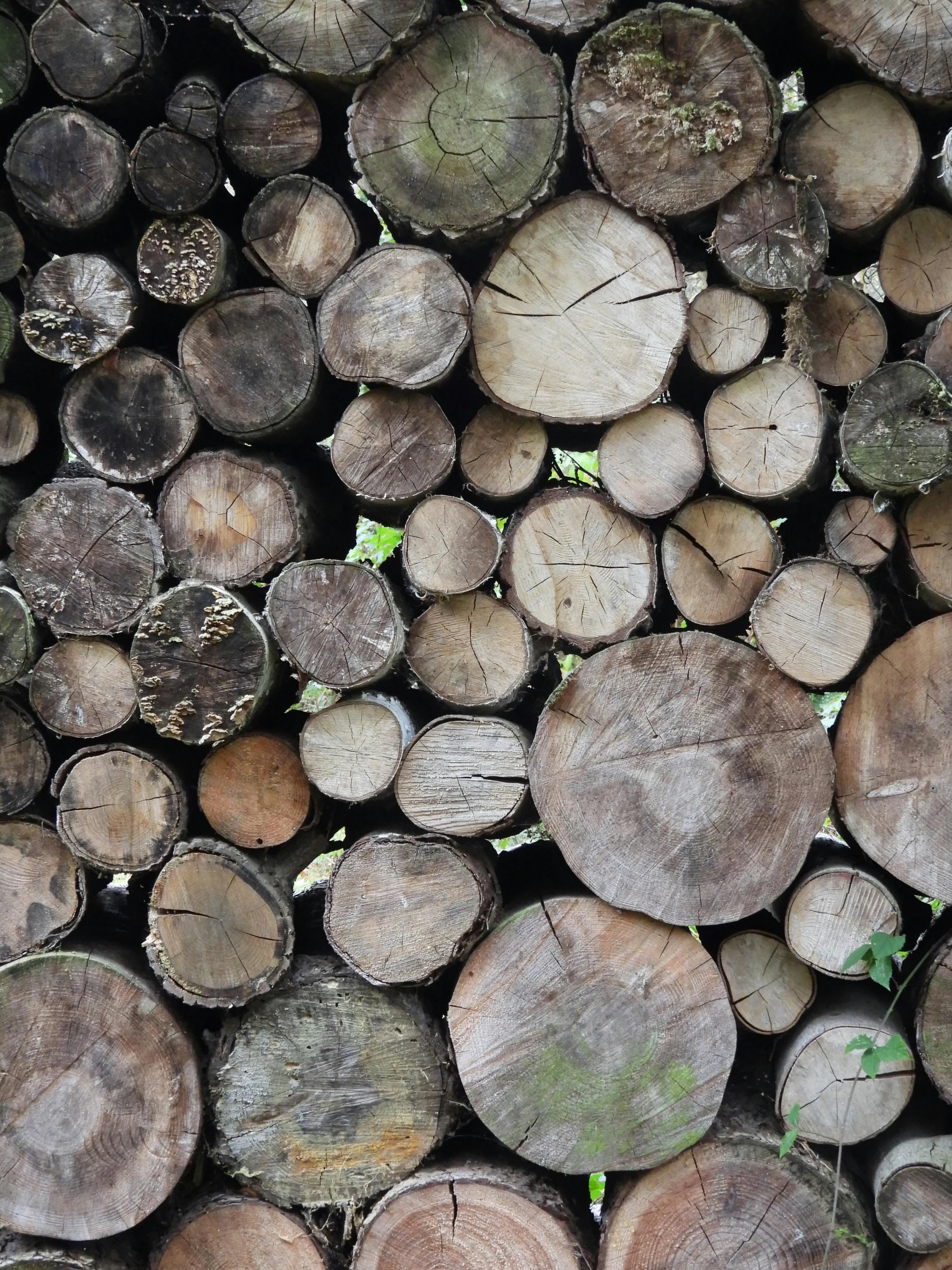 wood is stacked up and ready for construction