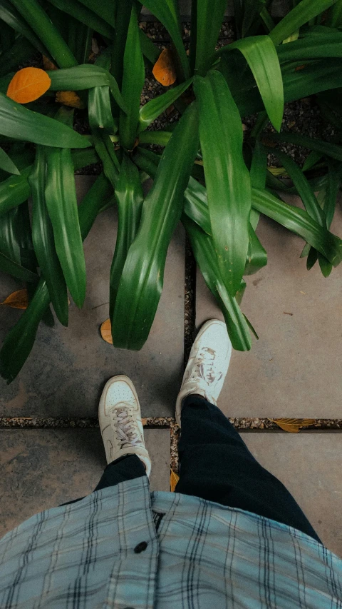 a man sitting on top of a patio under green plants