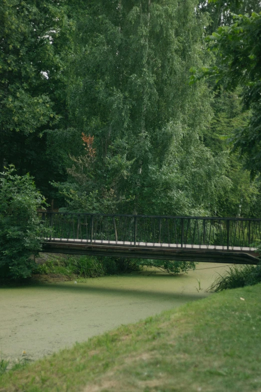 a bench overlooking water with a bridge above it