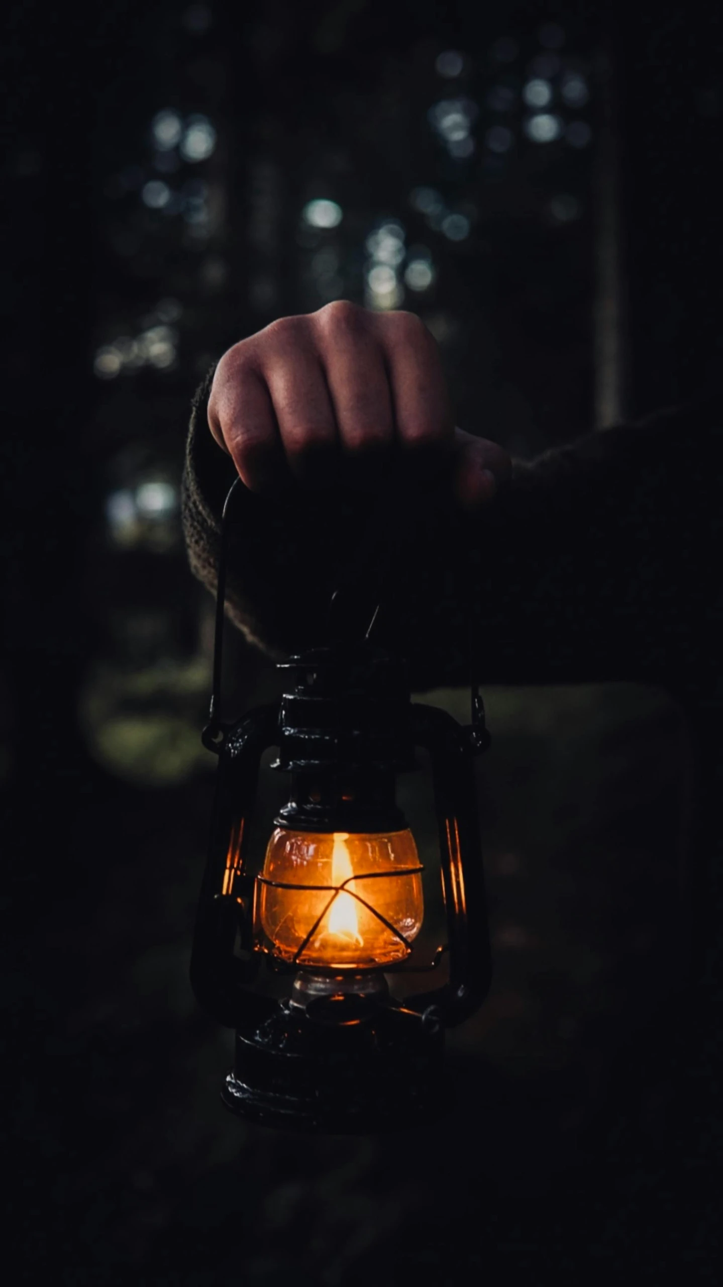 hand holding a lantern on top of a dark forest