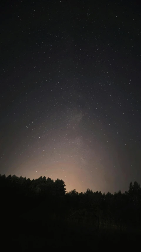 stars moving across the night sky above some trees