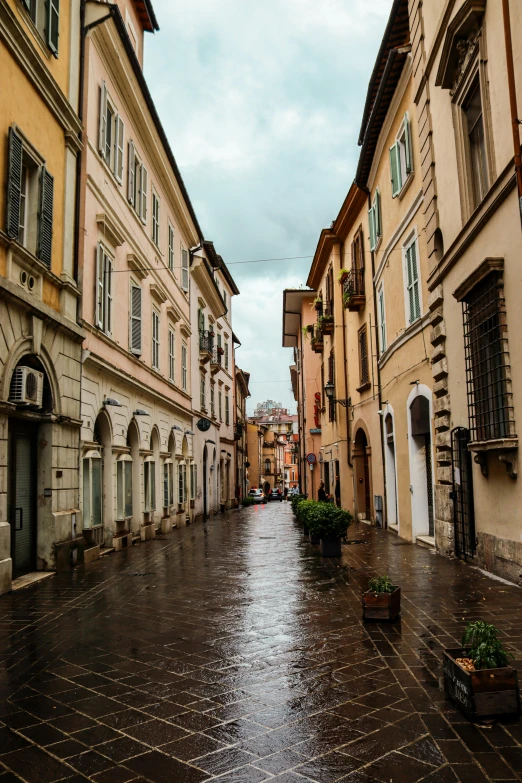 an empty street has small potted plants on it