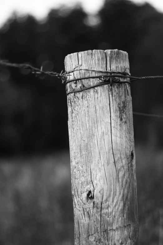 a wooden post holding barbed wire to it