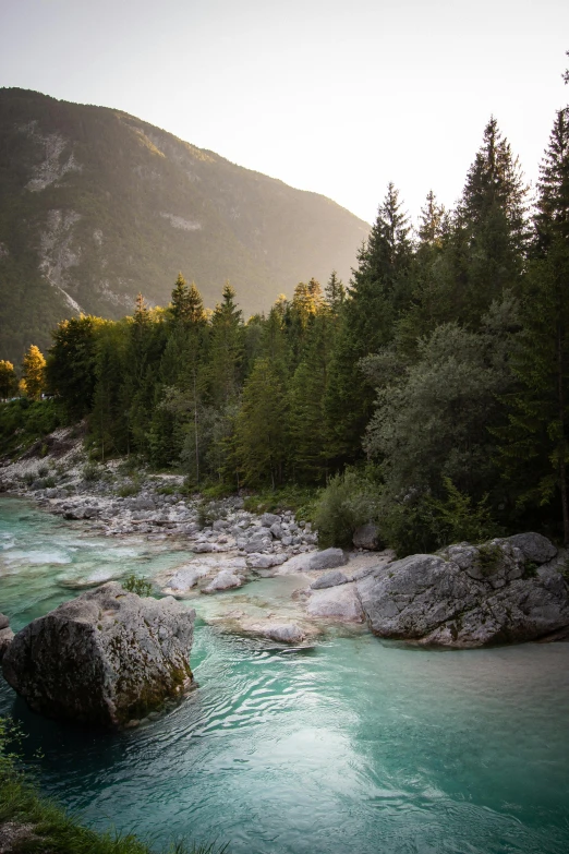 water in the mountain stream flowing into it