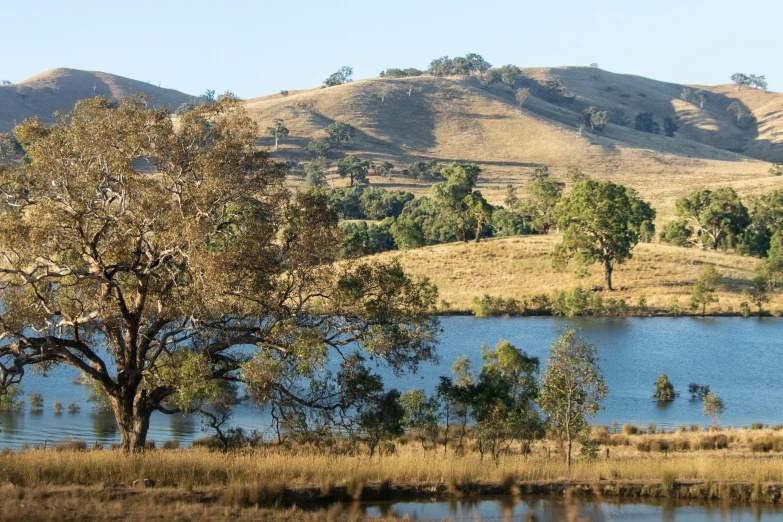 a lake is near some mountains and trees