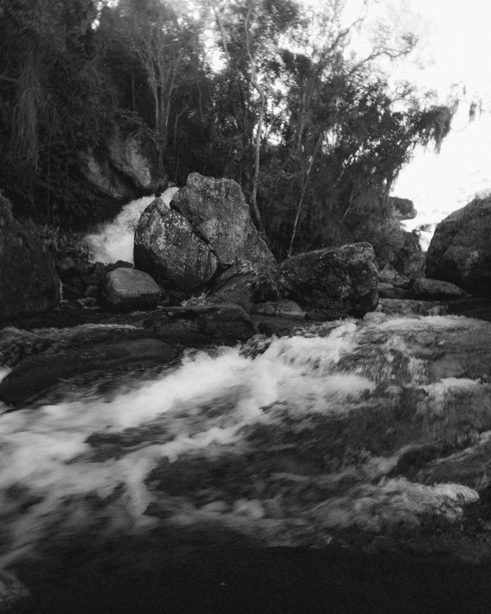 there is water running through some rocks and trees