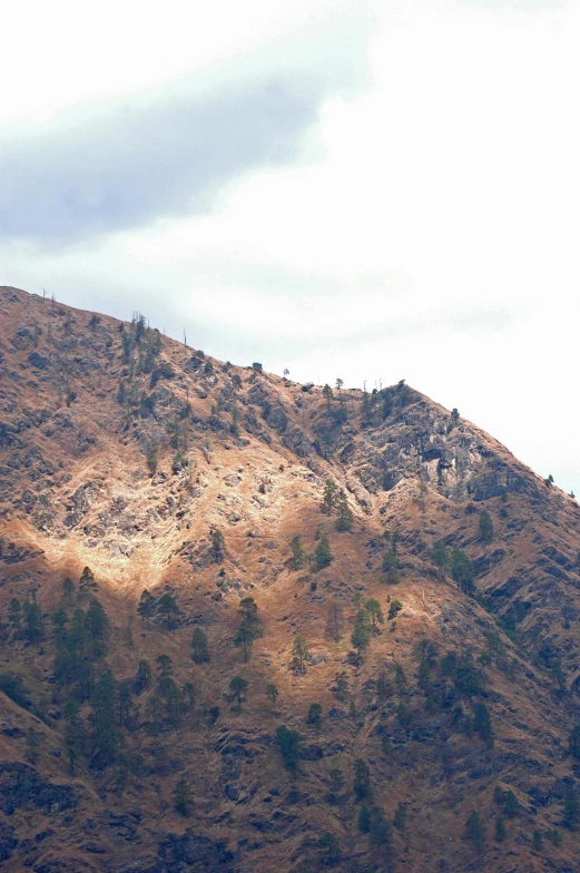 an image of the mountain tops with trees on them