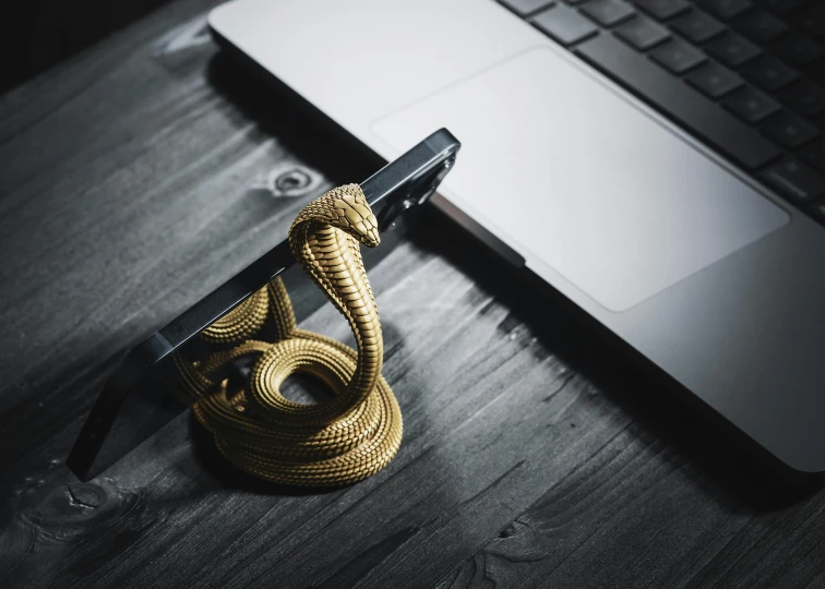 an umbrella with a gold rope around it