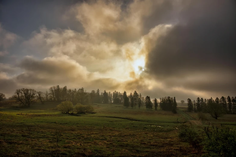 a field that has trees on a hillside