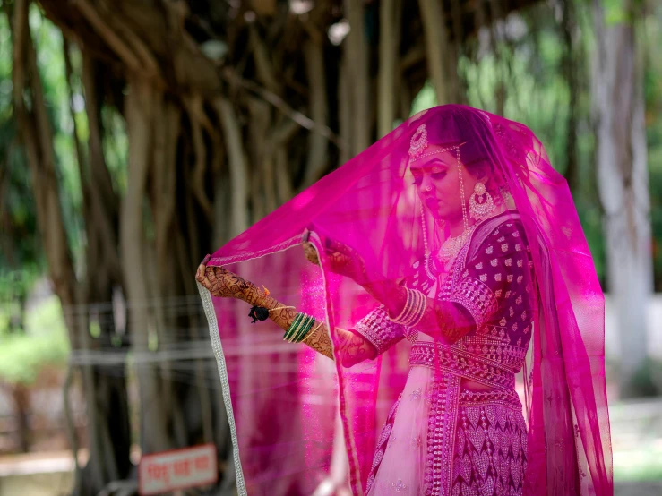 a girl in a sari with a large, ornate tree