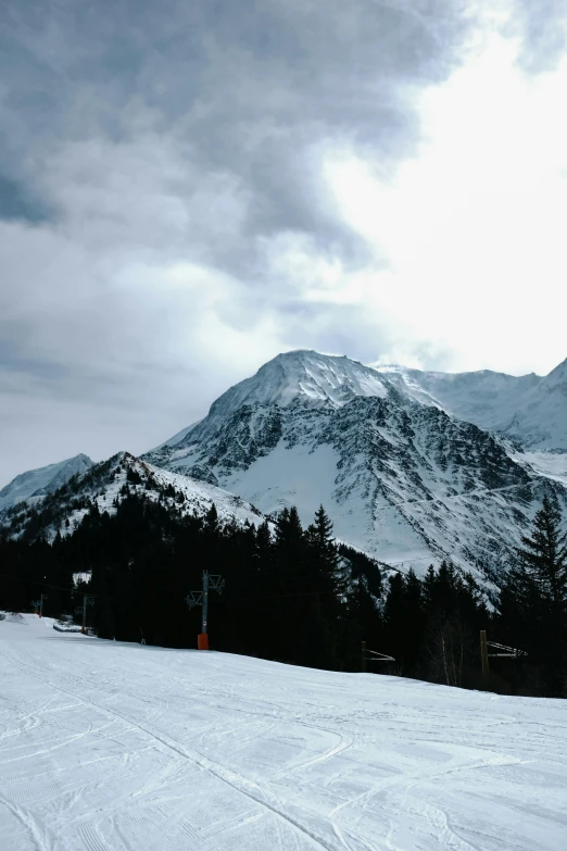 a mountain range with a bunch of trees in the foreground