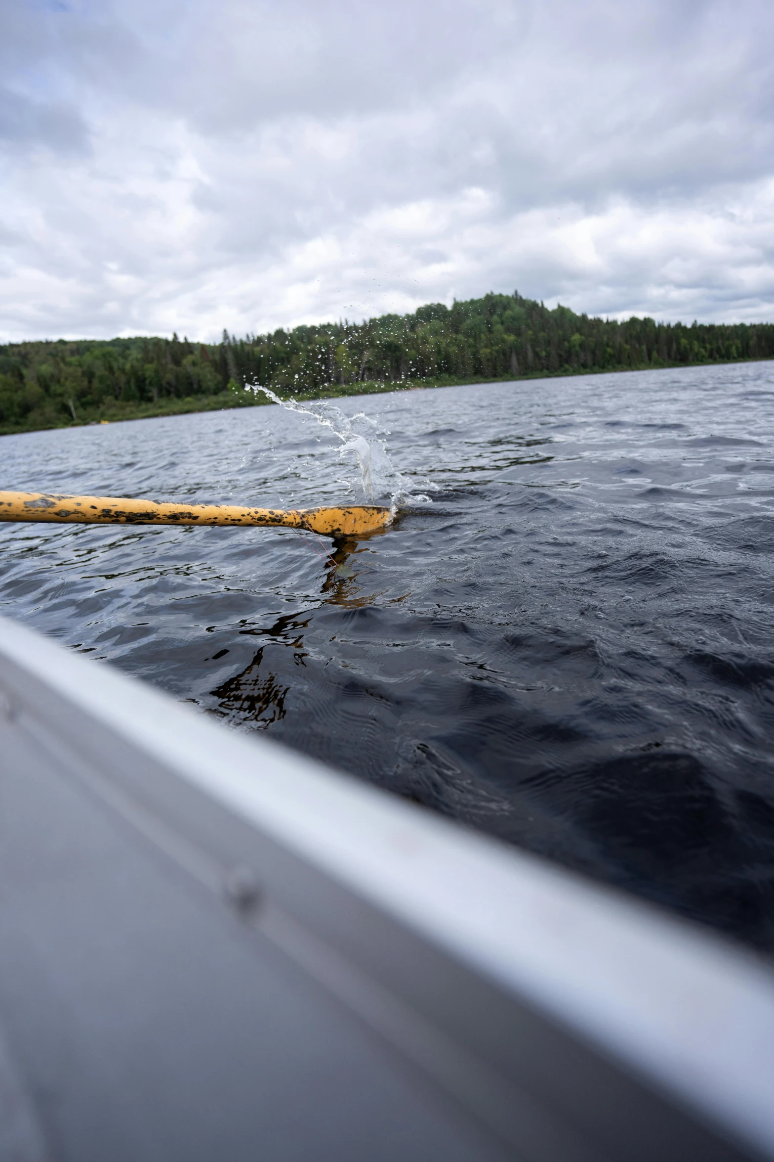 the boat floats on the lake, just off shore