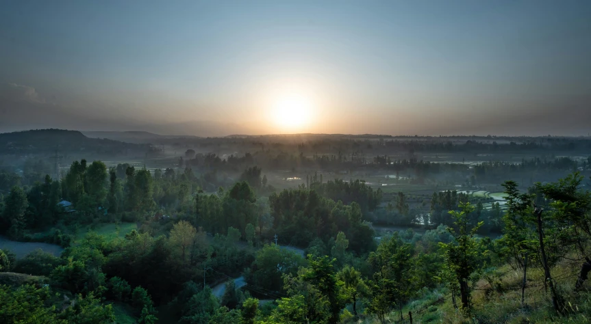 a sun set over the trees and bushes