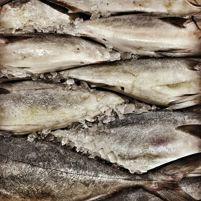 several fish and ice on display on a table