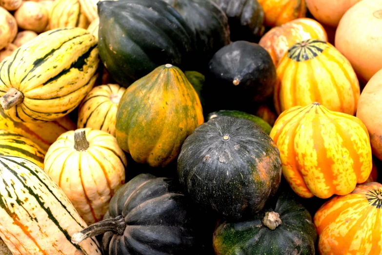 colorful gourds are grouped together in piles