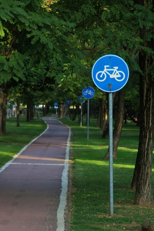 a bike sign next to a tree on a path