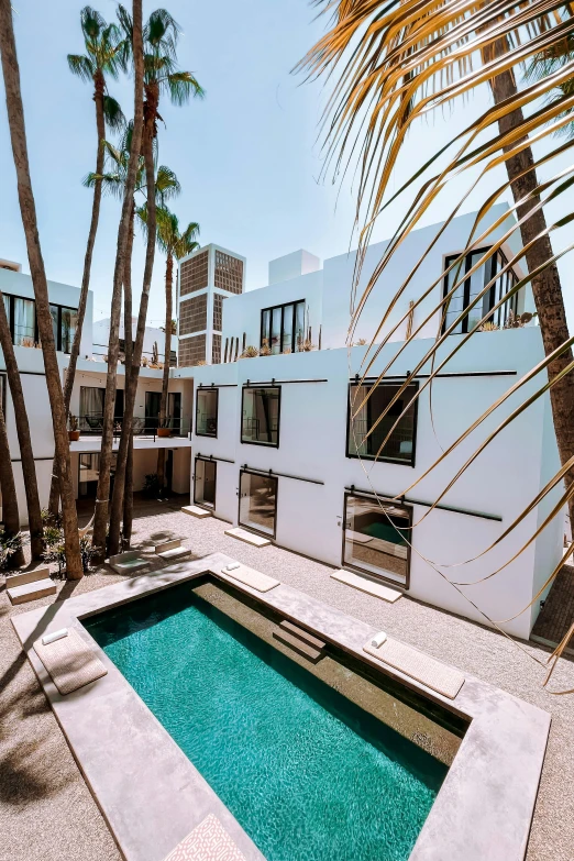 the backyard has an in - ground pool, and is surrounded by palm trees